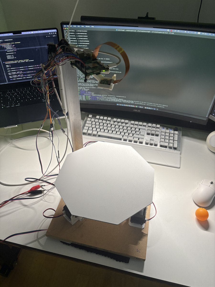 the balancing plate rig, an octagonal plate on a servo mount wired to a Raspberry Pi